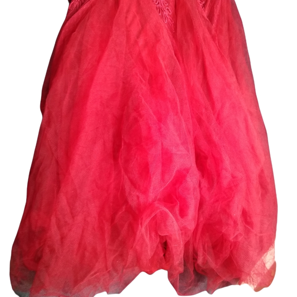 NWT Cahcet Ind. Sz. 14 Soutache Embroidered Long Sleeveless Dress - Picture 5 of 8